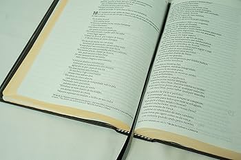 洋書 Sagrada Biblia terranova editores ltda. La Sagrada Biblia - Terranova (exquisita) | MercadoLibre